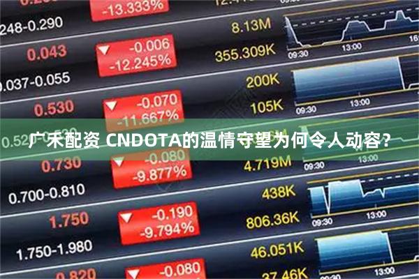 广禾配资 CNDOTA的温情守望为何令人动容？