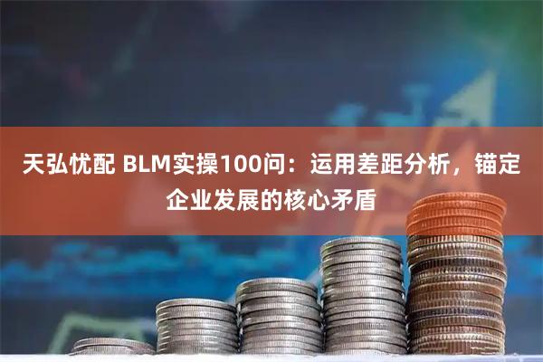 天弘忧配 BLM实操100问:运用差距分析,锚定企业发展的核心矛盾