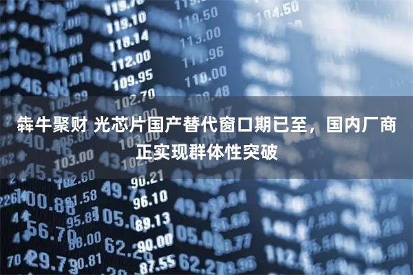 犇牛聚财 光芯片国产替代窗口期已至，国内厂商正实现群体性突破